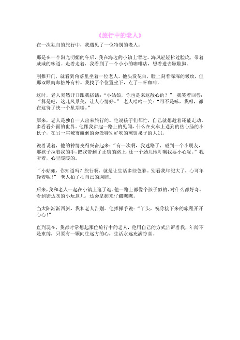 《旅行中的老人》