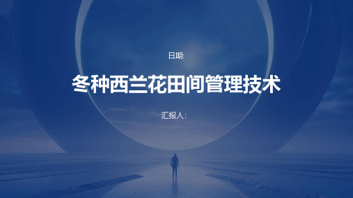 冬种西兰花田间管理技术