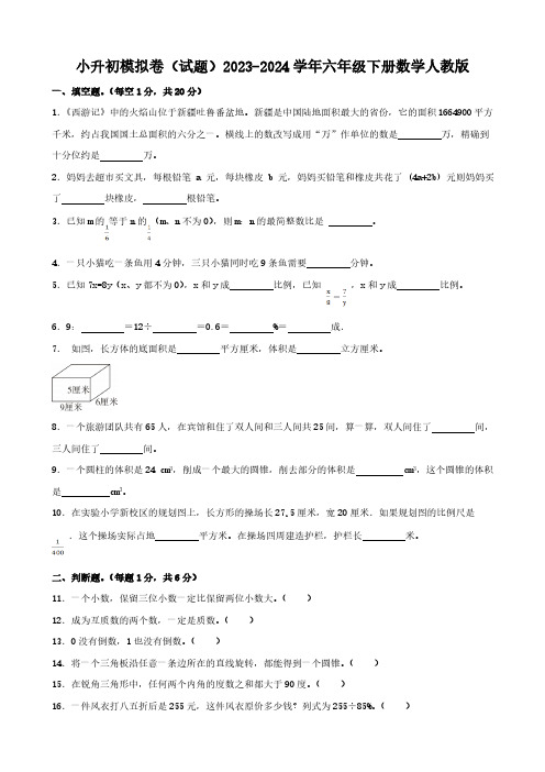 小升初模拟卷(试题)(无答案)2023-2024学年六年级下册数学人教版