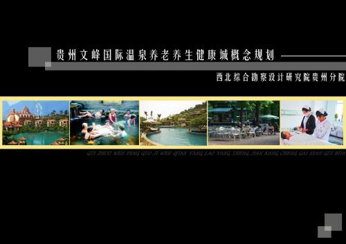 [医学]贵州文峰国际温泉养老养生健康城概念规划5