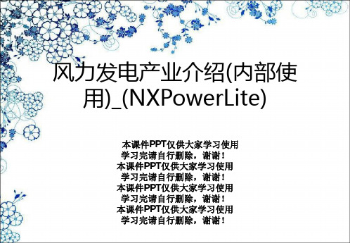 风力发电产业介绍(内部使用)_(NXPowerLite)