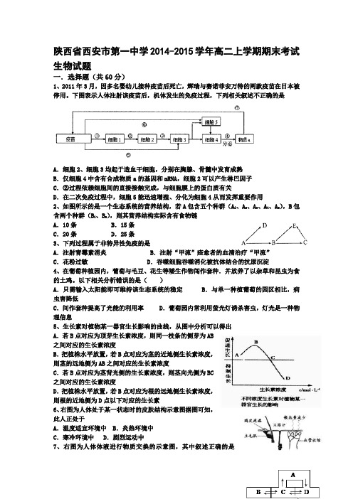 陕西省西安市第一中学2014-2015学年高二上学期期末考试生物试题