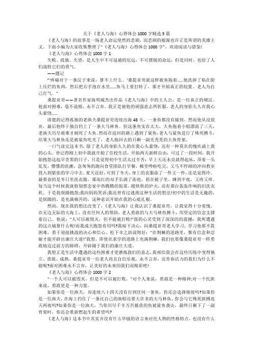 关于《老人与海》心得体会1000字精选5篇