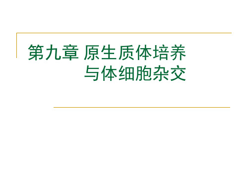 第九章：原生质体培养与体细胞杂交