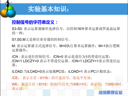 最新存储器与总线实验PPT课件