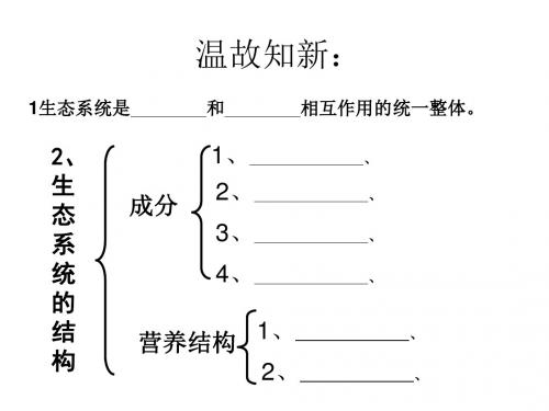 生态系统的能量流动ppt