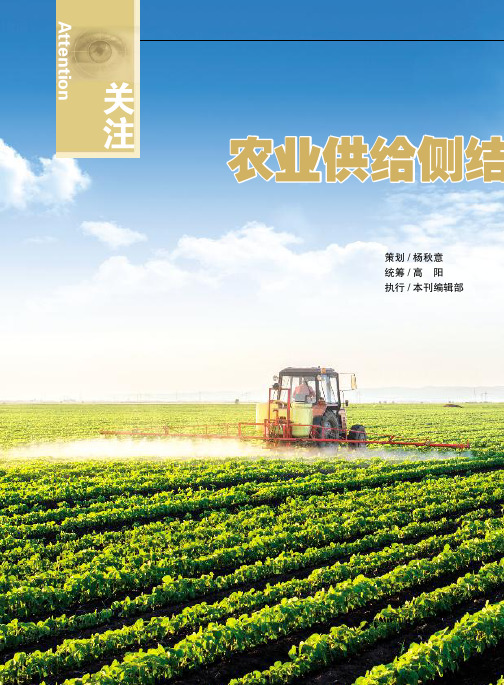 农业供给侧结构性改革怎么改