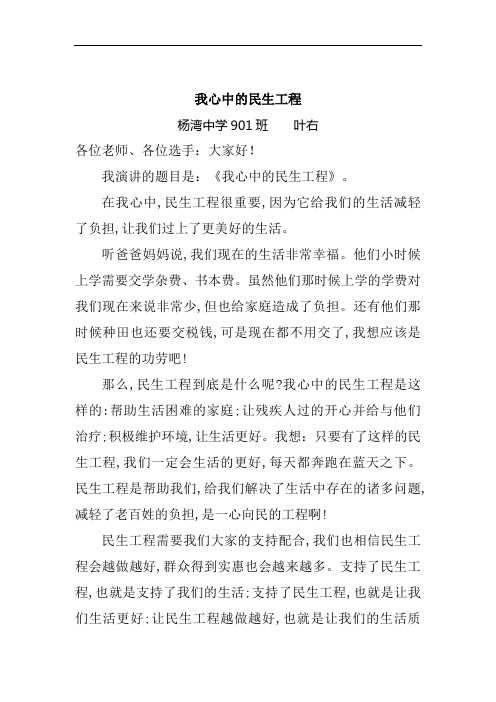 演讲稿:我心中的民生工程