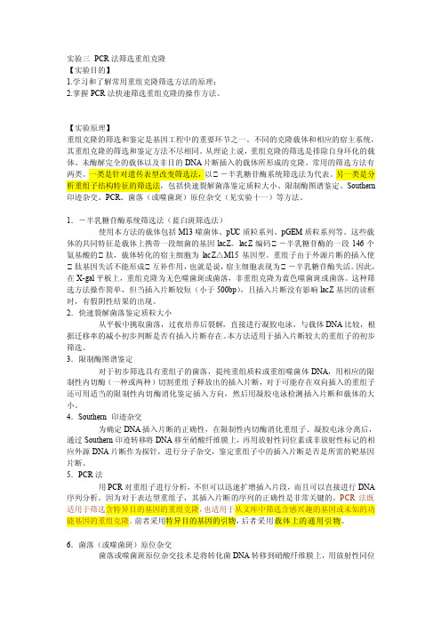 PCR法筛选重组克隆[详细讲解]