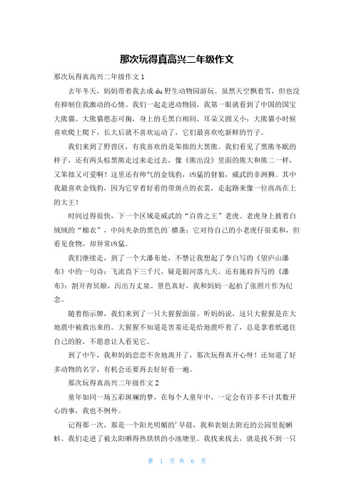 那次玩得真高兴二年级作文