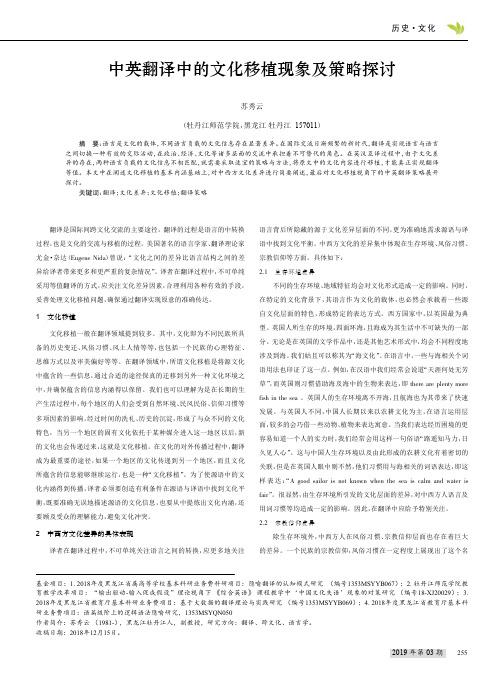 中英翻译中的文化移植现象及策略探讨