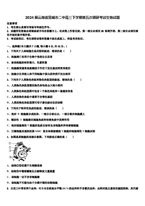 2024届云南省宣威市二中高三下学期第五次调研考试生物试题含解析