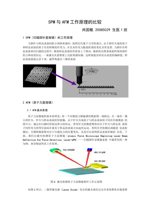 SPM与AFM工作原理的比较