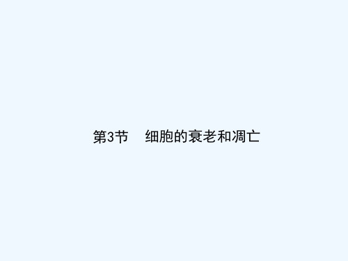 细胞的衰老和凋亡 PPT课件