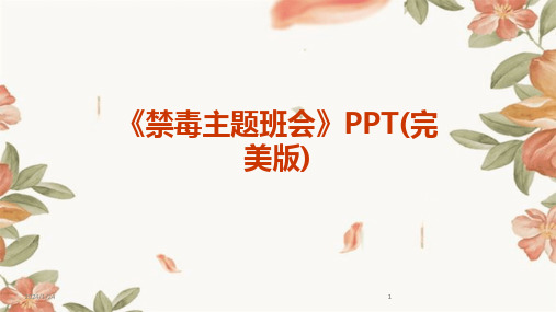 2024版《禁毒主题班会》PPT(完美版)