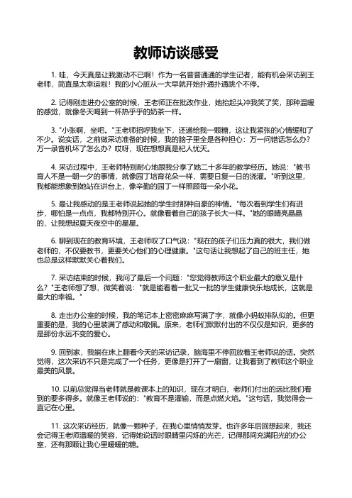 教师访谈感受