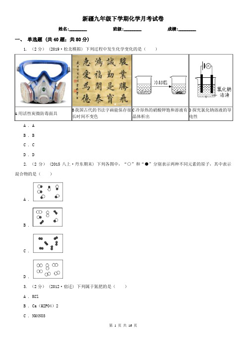 新疆九年级下学期化学月考试卷