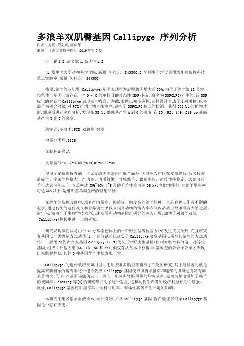 多浪羊双肌臀基因Callipyge 序列分析