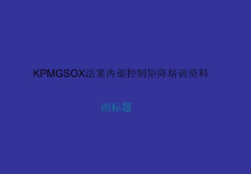 KPMGSOX法案内部控制矩阵培训资料