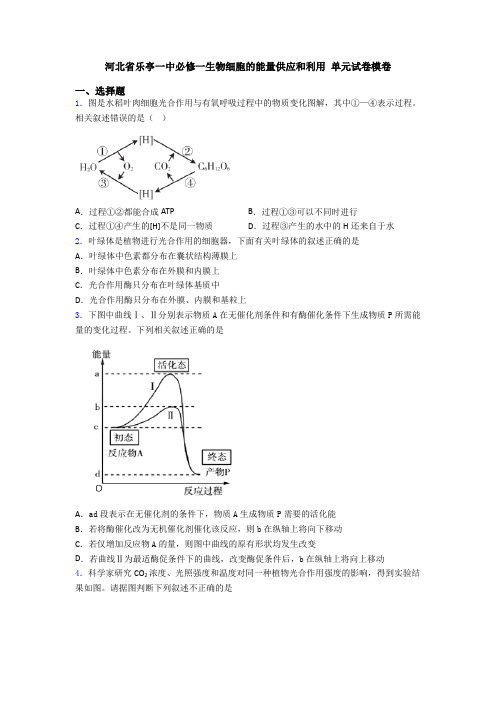 河北省乐亭一中必修一生物细胞的能量供应和利用 单元试卷模卷