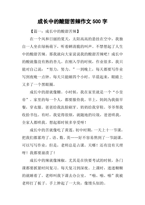 成长中的酸甜苦辣作文500字