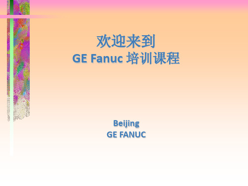 GE PLC概述