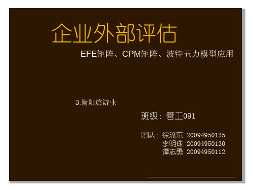 外部评价EFE矩阵CPM矩阵分析ppt课件