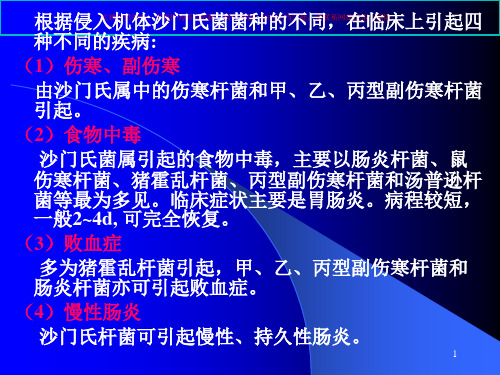 沙门氏菌及其检验方法培训课件