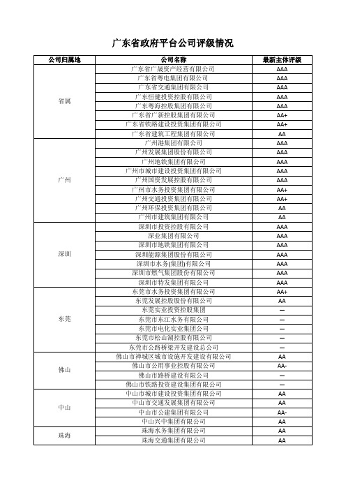 广东省政府平台公司评级