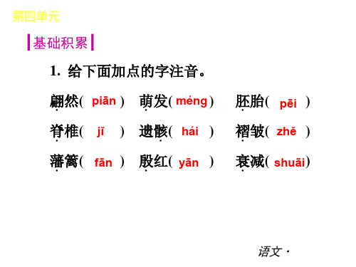 人教版八级上册第四单元复习