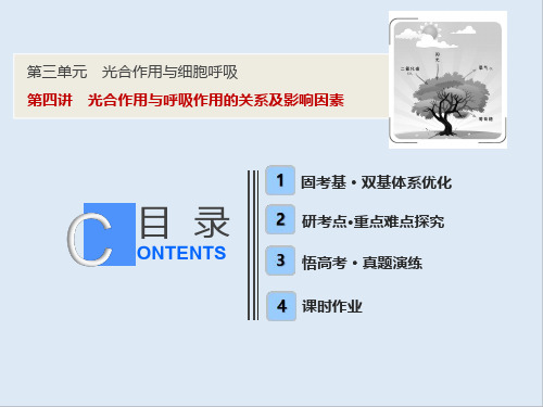 2019版一轮优化探究生物(苏教版)课件:第三单元 第四讲 光合作用与呼吸作用的关系及影响因素
