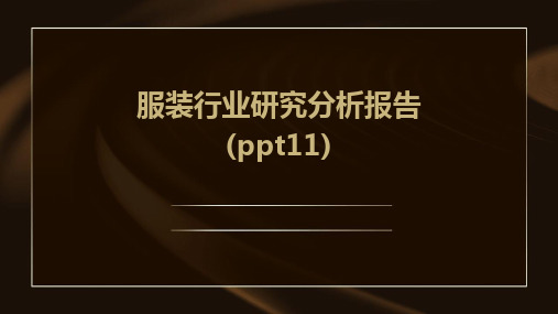 服装行业研究分析报告(ppt11)