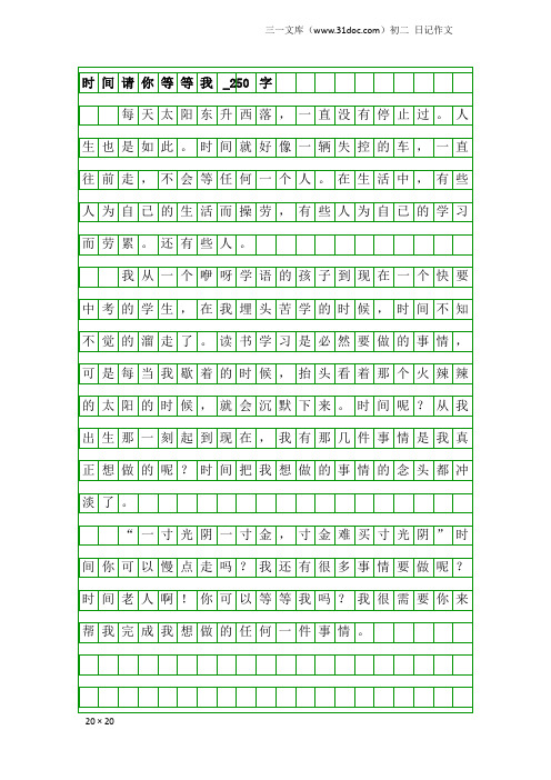 初二日记作文：时间请你等等我_250字