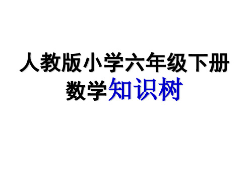 六年级数学下册知识树