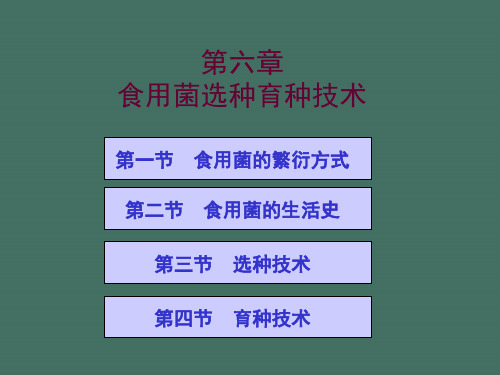 食用菌选种育种技术ppt课件