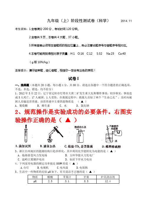 2014市三中九年级上阶段性测试卷(科学)