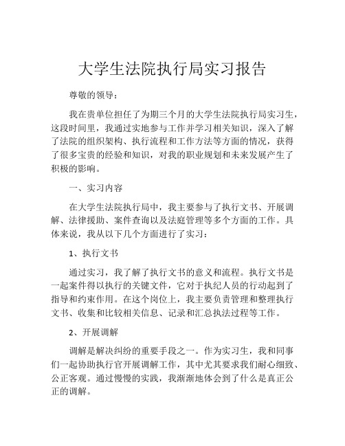 大学生法院执行局实习报告