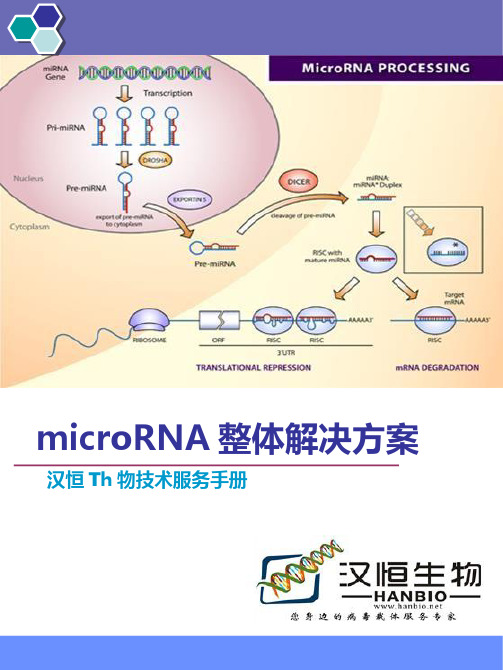 汉恒生物-micorRNA研究整体策略