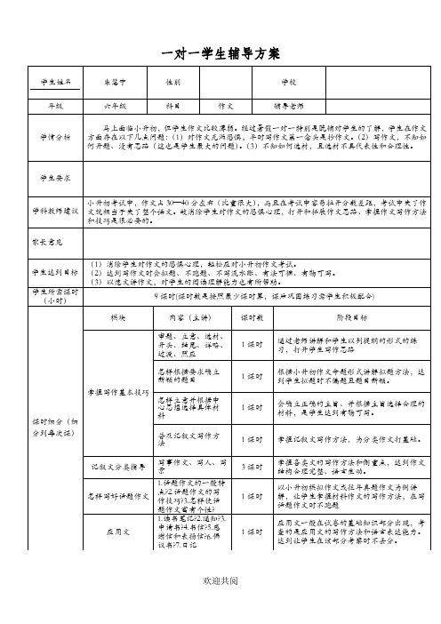 小升初作文一对一辅导计划