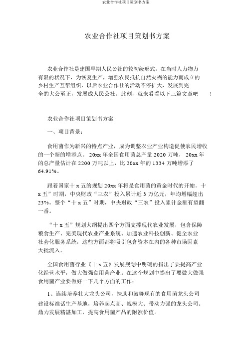 农业合作社项目策划书方案