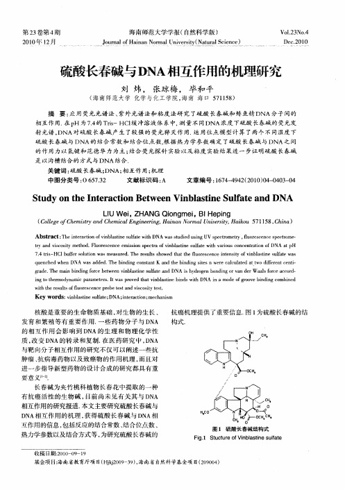 硫酸长春碱与DNA相互作用的机理研究