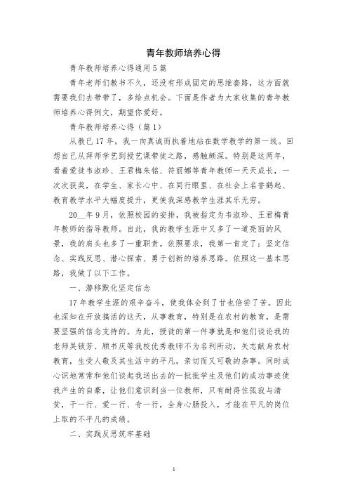 青年教师培养心得