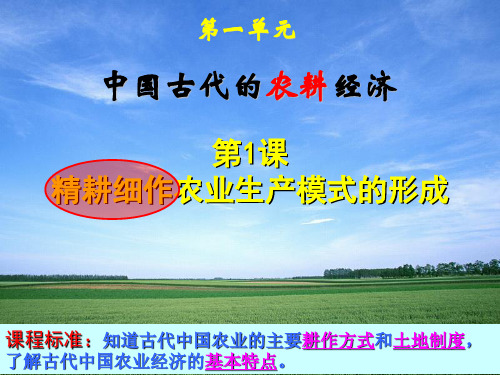 岳麓版_必修精耕细作的农业生产模式的形成(课件张)PPT