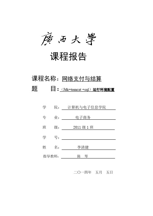 网络支付与结算试验报告(最新最完整版)