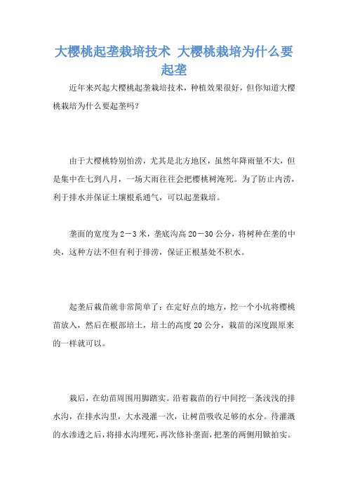 大樱桃起垄栽培技术 大樱桃栽培为什么要起垄