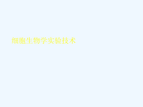 中国医科大学研究生选修课细胞生物学实验技术