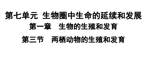 人教版生物八年级下册 第七单元第一章第三节两栖动物的生殖和发育 课件(共34张PPT)