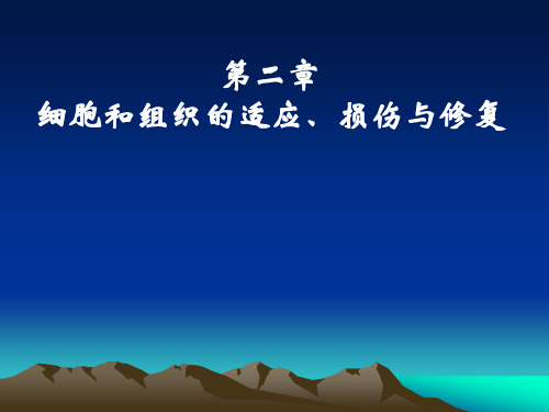 组织的适应、损伤与修复