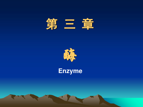 酶09级临床医学PPT课件