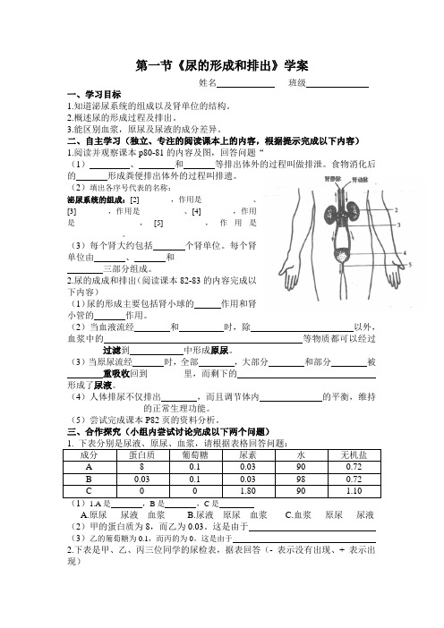 尿的形成和排出